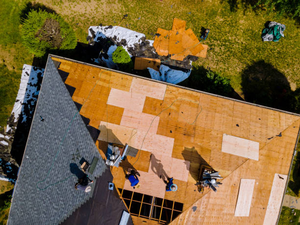 Roof Gutter Cleaning in Forestdale, AL