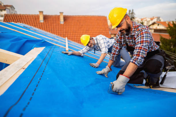 Best Roof Maintenance Services  in Forestde, AL