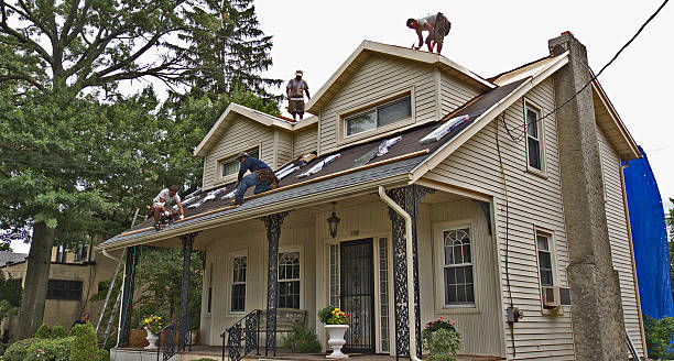 Best Storm Damage Roof Repair  in Forestde, AL