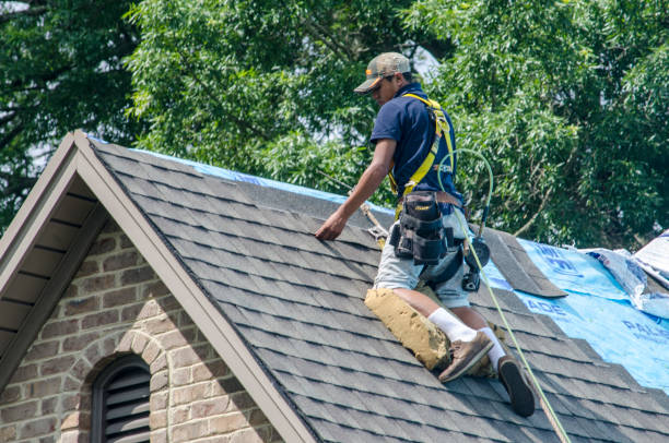 Best Roof Waterproofing Services  in Forestde, AL